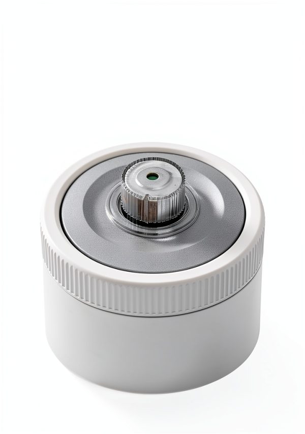 Intex Above Ground Pool Pump White Plastic Design-4
